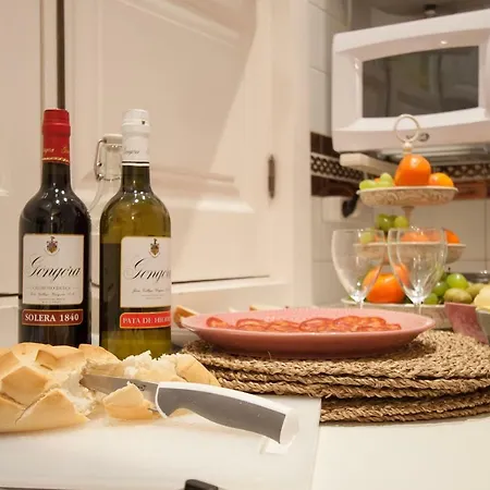 Botanic Duplex Terrace 5 Pax * Σεβίλλη