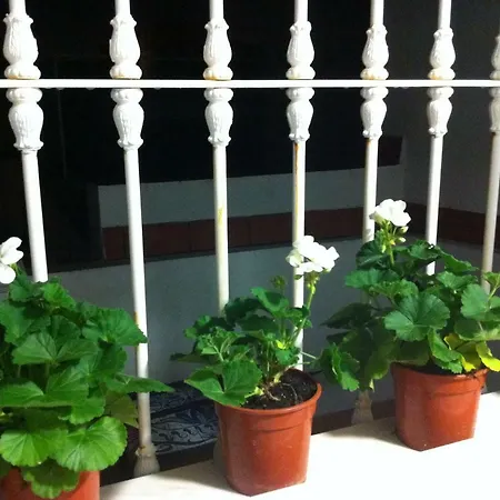 Atico Amistad Apartment Seville