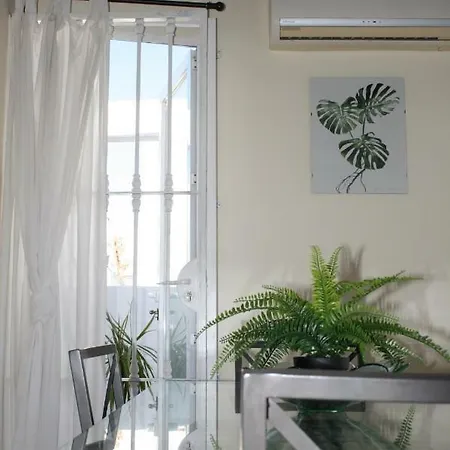 Atico Amistad Apartment Seville