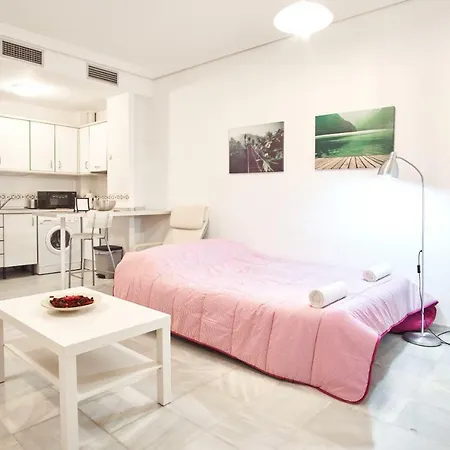 Apartment Pureza Oasis *