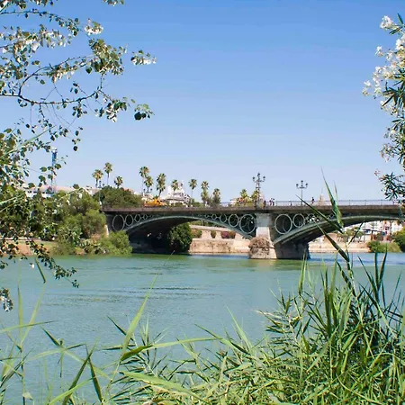 Pureza Oasis Seville