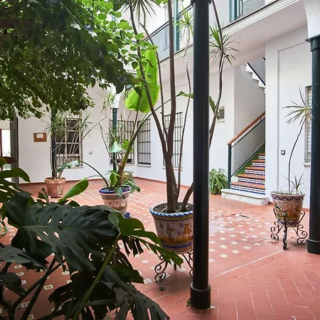Pureza Oasis Seville