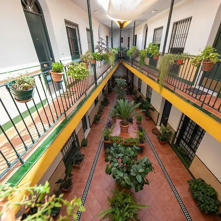 아파트 Cosy With Terrace In The Centre Of