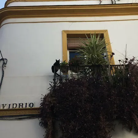 Lejlighed Vidrio