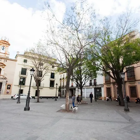 Gotoseville Molviedro Apartment *