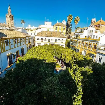 Plaza De Dona Elvira 8 * Seville