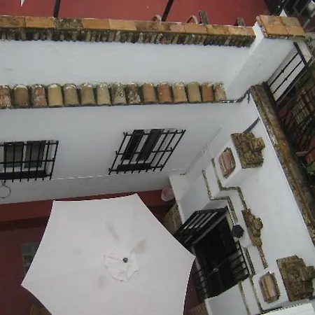 Montorena 2*