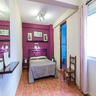Jentoft Seville