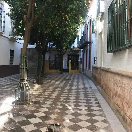 Flamenco * Seville
