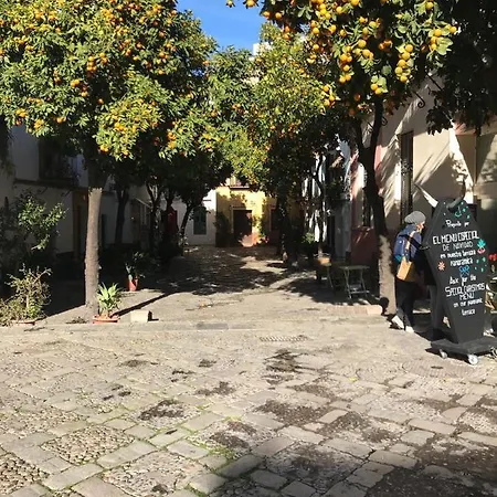 Bed & Breakfast Flamenco Seville
