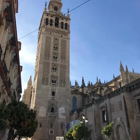 Bed & Breakfast Flamenco Seville