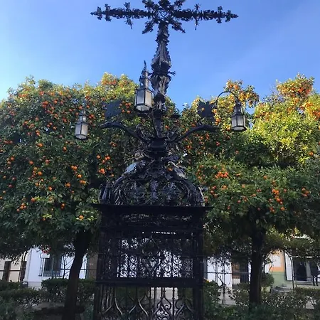 Flamenco Seville