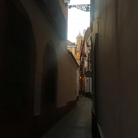 Flamenco Seville