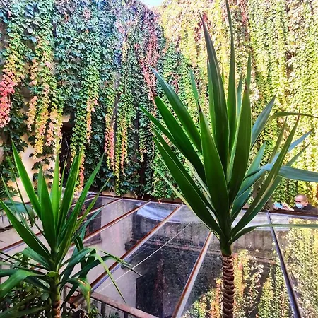 Casa Del Buen Viaje - Solea Homestay