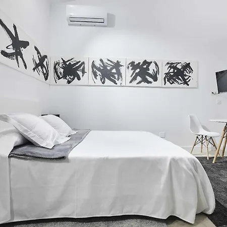 Triana Modern Y Luxury