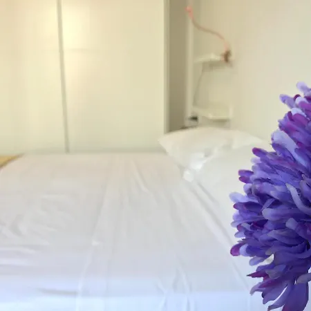 Apartamento San Miguel * Seville