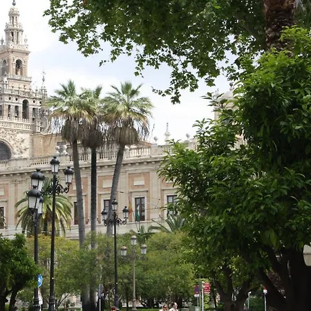 Avenida