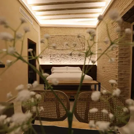 Casa Senorial Del Siglo Xviii Apart-hotel *