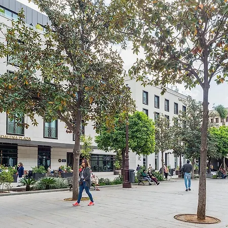 Magdalena Plaza *