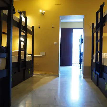 شباب أواسيز باكباكيرز بالاس سيفيل بيت شباب إشبيلية