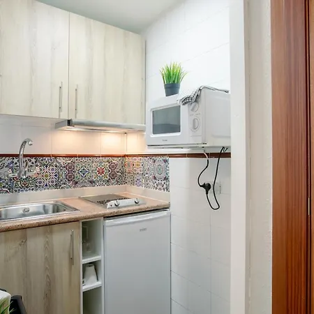 233 Hispalis Triana Apartment