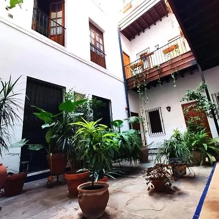 Apartment Coco Urban