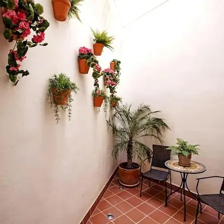 Holiday home Mini In The Heart Of For Exclusive Usage Seville
