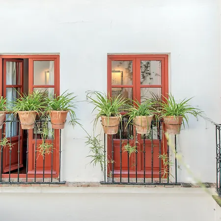 Casas De La Juderia