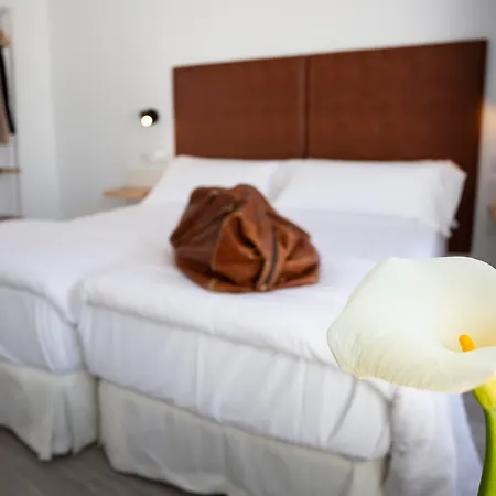 Basic Catedral Hotel Sevilla