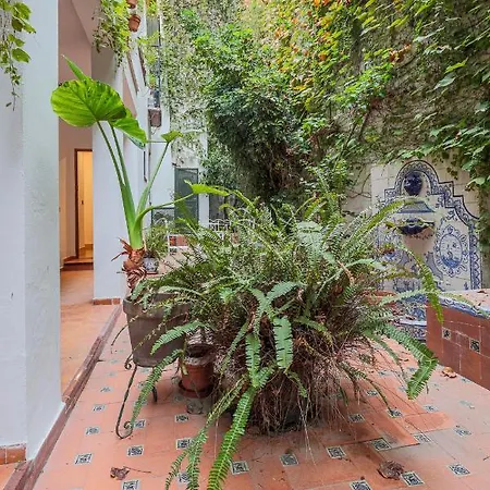 Susona - Oasis De Paz En Barrio Santa Cruz Apartamento *