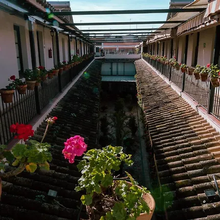 Con Encanto En Patio Sevillano Seville