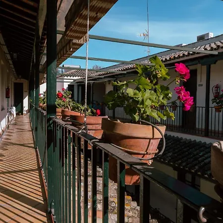 Con Encanto En Patio Sevillano *