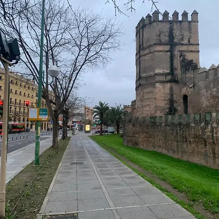 Piso Muralla Macarena *