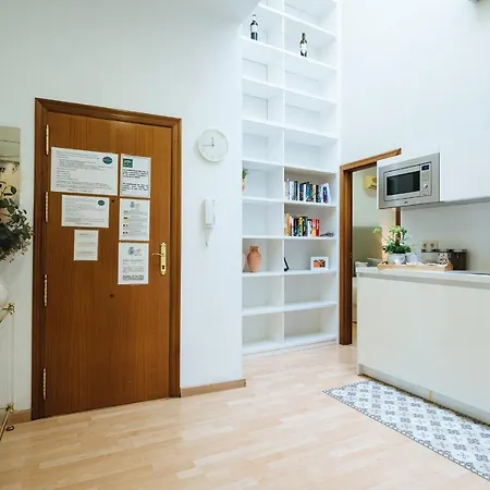 Apartamento Vistas Catedral Tomas De Ibarra Parking Opc