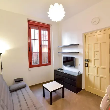 Quiet Typical Patio & Terrace Apartment Seville