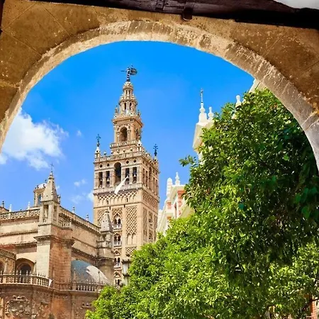 Cder Center Cathedral And Alcazar