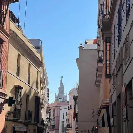 Acogedor Estudio En El Centro De Sevilla Appartamento Siviglia