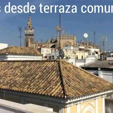Cder Center Cathedral And Alcazar * Seville
