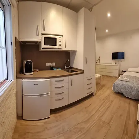 Mini Estudio Centro 公寓