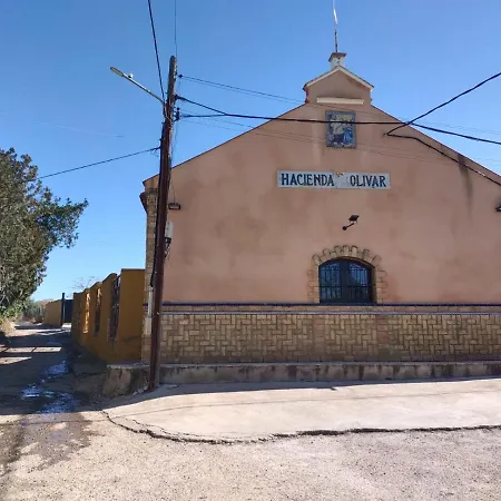 Casa Cortijo Olivar Seville