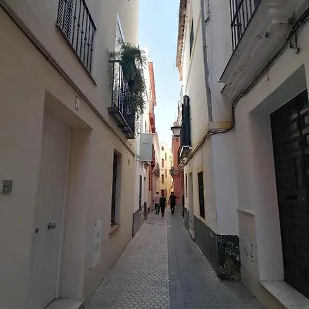 Penthouse At Center With Terrace * Seville