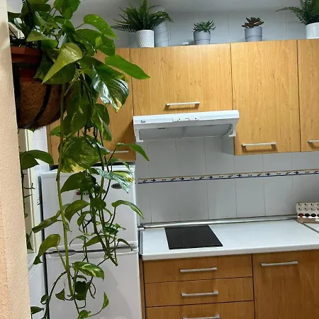 Apartamento Torre Alta Parking Gratis דירה *