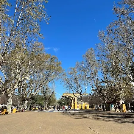 Atico Joaquin Costa 15 Alameda De Hercules Sevilla