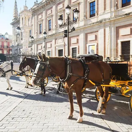 Leca, Comodo Y Silencioso * Seville