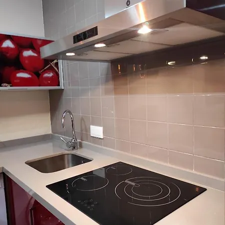 Casa Viriato 公寓 塞维利亚