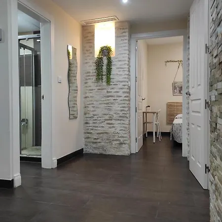 Casa Viriato 公寓 *