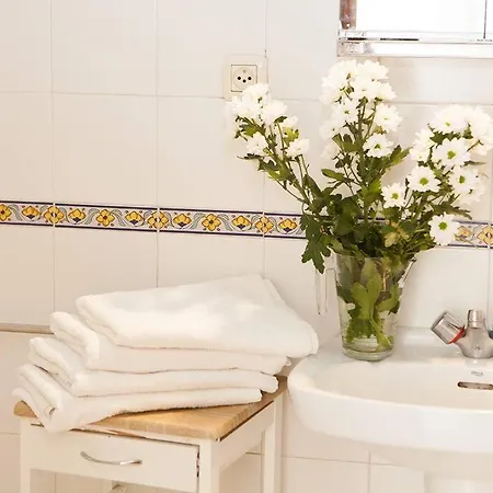 Cozy In The Center Of Seville