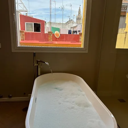 Apartment Luxury Cathedral Views In Seville