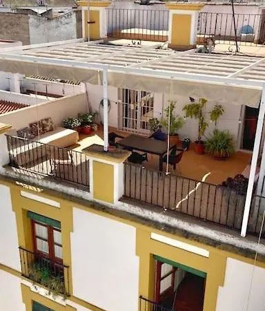Atico Plaza Cristo De Burgos Appartement