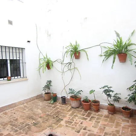 Rentalsevilla Espacioso Apartamento En La Alameda De Hercules Con Parking *